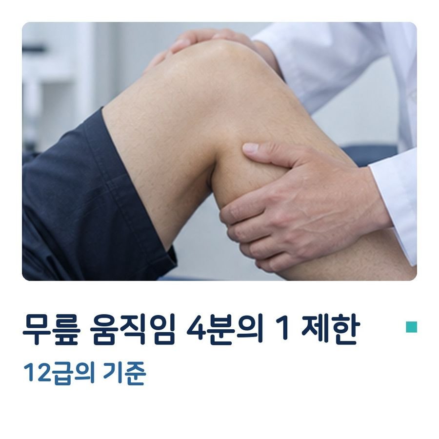 무릎 움직임 4분의 1 제한 - 12급의 기준